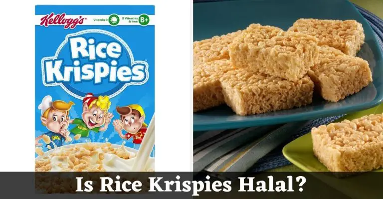 Is Rice Krispies Halal