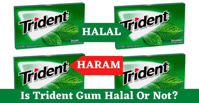 Is Trident Gum Halal